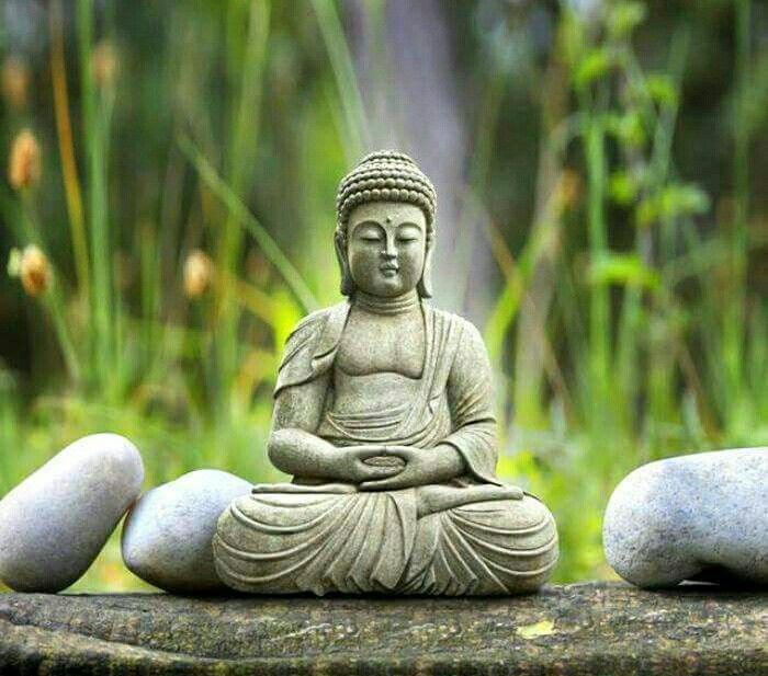 zen buddhist meditation zen buddhist meditation